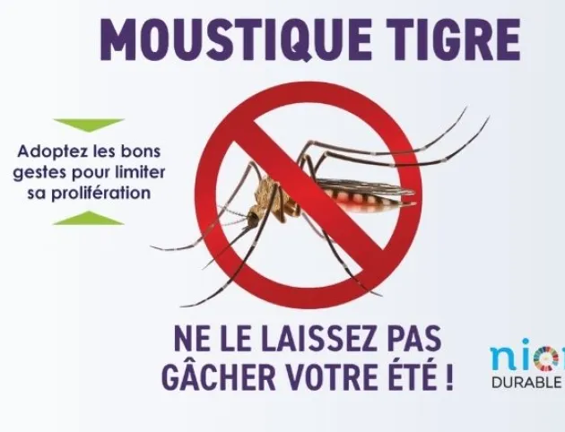 Lutte contre le moustique tigre : agissez avant l'été !