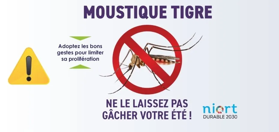 Lutte contre le moustique tigre : agissez avant l'été !