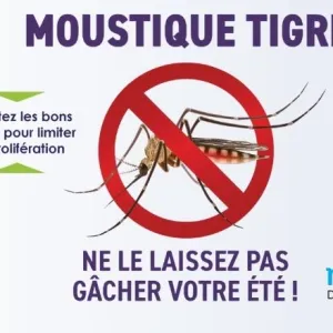 Lutte contre le moustique tigre : agissez avant l'été !