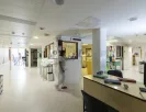 916A3975.JPG